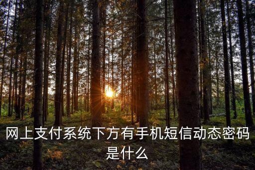 網(wǎng)上支付系統(tǒng)下方有手機(jī)短信動(dòng)態(tài)密碼是什么