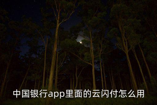 中國銀行app里面的云閃付怎么用