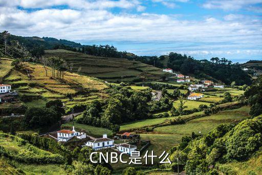 中民投是什么，CNBC是什么