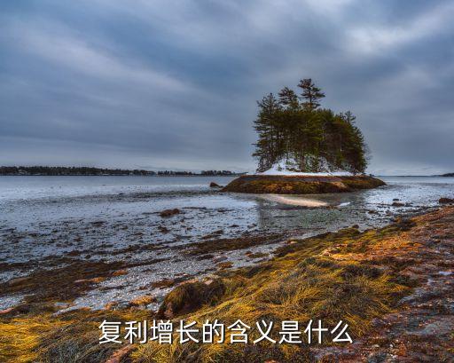 復利靠什么意思，13個月內變成20000元巴菲特口中的復利是什么意思呢