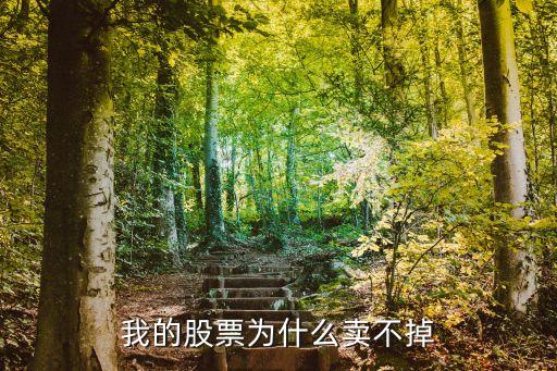 為什么我的股票賣不出，我的股票為什么賣不掉