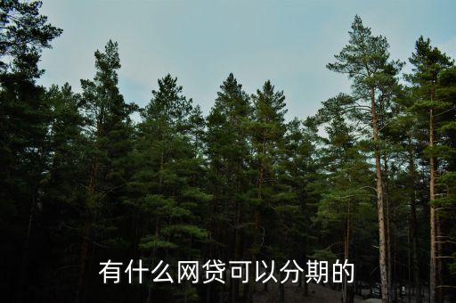 有什么網(wǎng)貸可以分期的