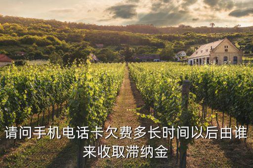 什么是滯納金，那怎么還會產(chǎn)生滯納金呢滯納金是什么呀