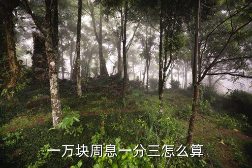 一萬(wàn)塊周息一分三怎么算