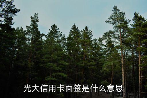 光大信用卡面簽是什么意思