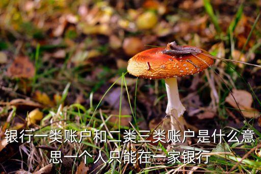 銀行一類賬戶和二類三類賬戶是什么意思一個(gè)人只能在一家銀行