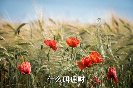 什么叫理財(cái)，什么叫理財(cái)