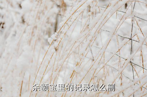 余額寶里的記錄怎么刪