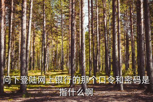 信用卡口令密碼是什么意思，問下登陸網(wǎng)上銀行的那個(gè)口令和密碼是指什么啊