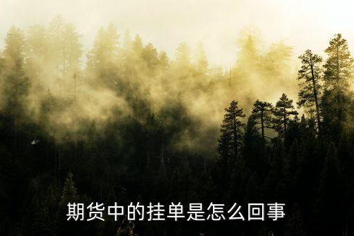 期貨中的掛單是怎么回事