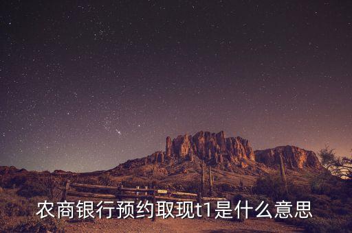農(nóng)商銀行預(yù)約取現(xiàn)t1是什么意思