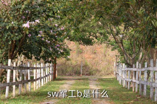 sw軍工b是什么