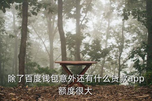 有什么像你我貸一樣的，有沒(méi)有什么貸款軟件百分百通過(guò)的 用錢寶 快貸 你我貸 現(xiàn)金巴士 信而富