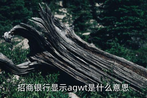 浦發(fā)銀行消貸易是什么意思，招商銀行顯示agwt是什么意思