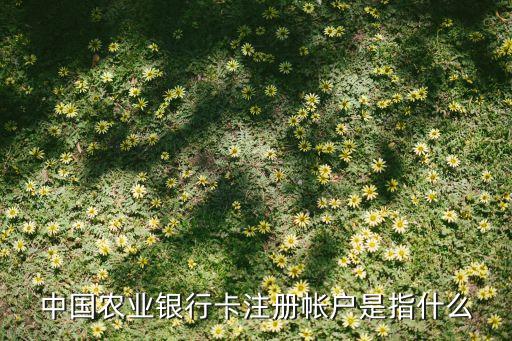 中國農(nóng)業(yè)銀行卡注冊帳戶是指什么
