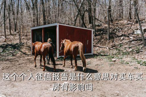這個(gè)個(gè)人征信報(bào)告是什么意思對(duì)買(mǎi)車(chē)買(mǎi)房有影響嗎