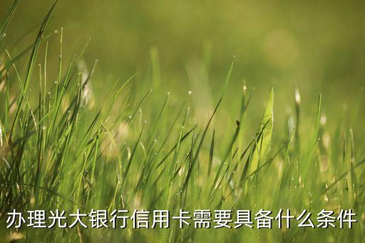 光大銀行辦信用卡需要什么條件，辦理光大銀行信用卡需要具備什么條件