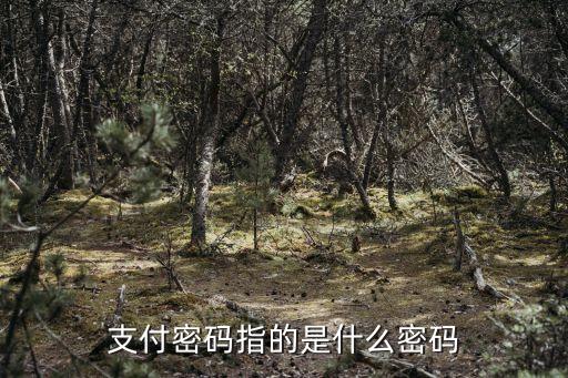 支付的支付密碼是什么密碼是什么，支付密碼是什么密碼
