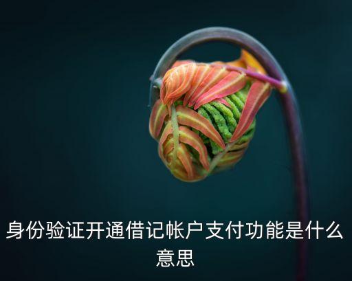 借記卡開通什么意思，石嘴山銀行給辦的卡上面寫著借記卡是什么意思里面的錢不會(huì)