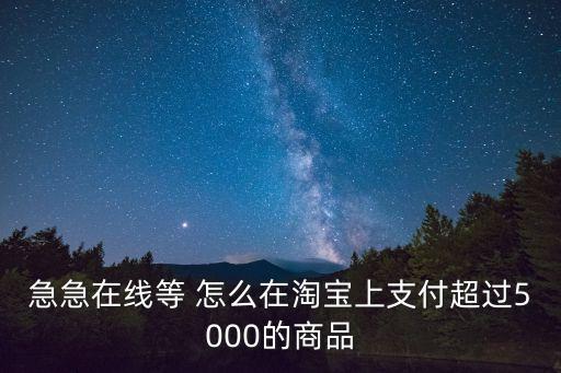 急急在線等 怎么在淘寶上支付超過5000的商品