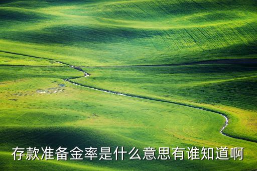 存款準(zhǔn)備金率是什么意思有誰(shuí)知道啊