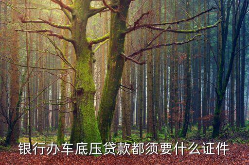 銀行辦車底壓貸款都須要什么證件