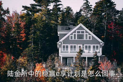 陸金所中的穩(wěn)贏e享計(jì)劃是怎么回事