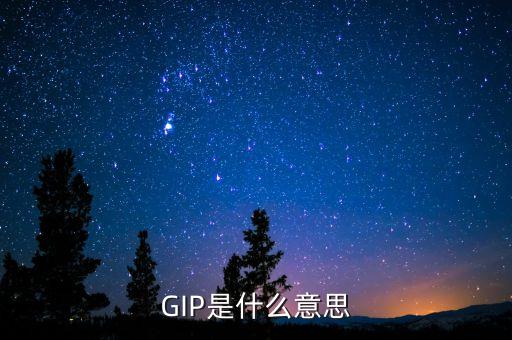 z支付是什么意思，eg 什么意思