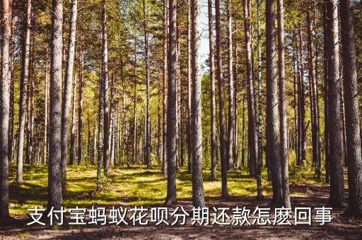 支付寶螞蟻花唄分期還款怎麼回事