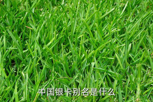 中國(guó)銀行卡叫做什么卡，中國(guó)銀行借記卡是什么卡