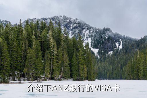 介紹下ANZ銀行的VISA卡