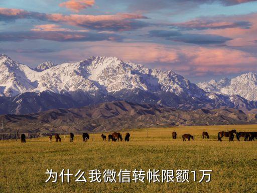 微信轉賬為什么有限額，為什么我微信轉帳限額1萬