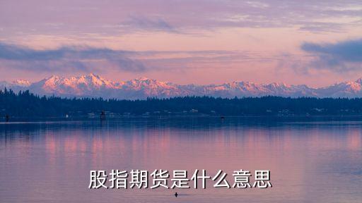 什么叫股指期貨，誰能告訴我股指期貨是什么意思