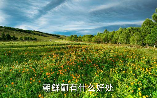 大來卡有什么好處，大來卡是怎樣一種存在