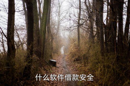 借錢什么app靠譜，什么軟件借款安全
