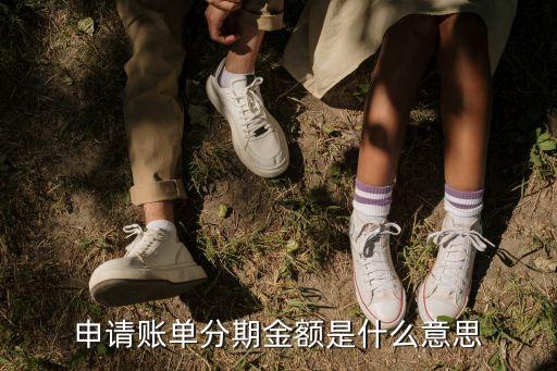 分期金額區(qū)間什么意思，會(huì)計(jì)區(qū)間會(huì)計(jì)分期的概念嗎等