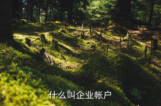 什么叫企業(yè)帳戶