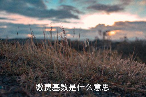 繳費基數(shù)是什么意思