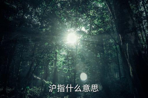 滬指什么意思