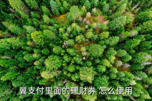 理財(cái)券有什么用，翼支付送的理財(cái)券有什么用
