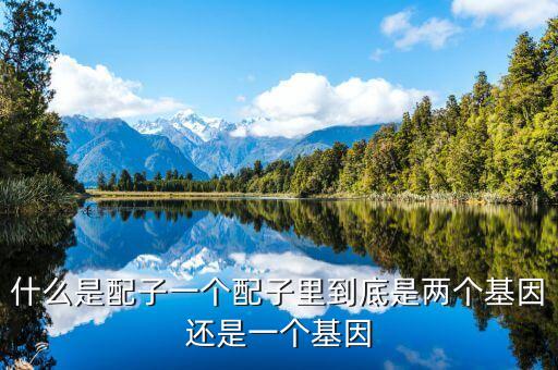 什么是配子一個(gè)配子里到底是兩個(gè)基因還是一個(gè)基因