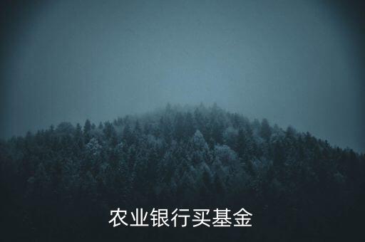 農(nóng)業(yè)銀行買基金