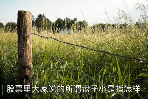 股票里大家說的所謂盤子小是指怎樣