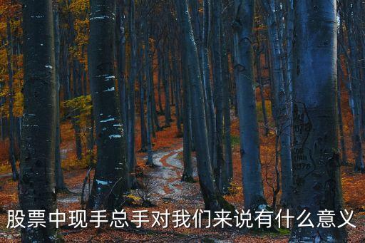 從股票總手里能看出什么，股票中的總手和成交量是一樣的嗎在那里能看成交量它是
