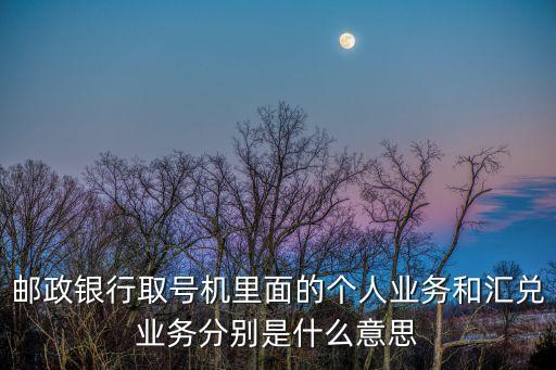 郵政銀行取號機里面的個人業(yè)務和匯兌業(yè)務分別是什么意思