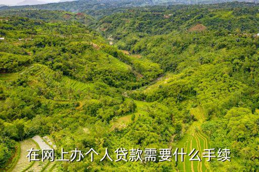 個人網(wǎng)貸需要什么資料，網(wǎng)絡(luò)貸款需要的條件有哪些