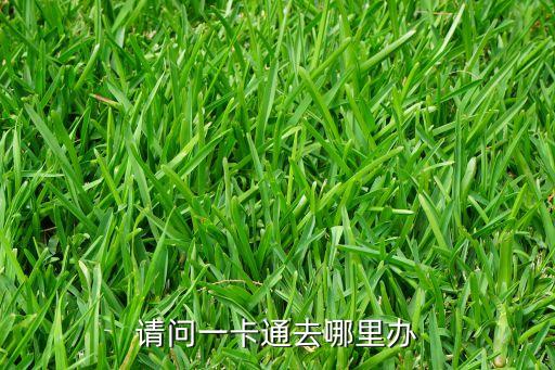 請(qǐng)問(wèn)一卡通去哪里辦