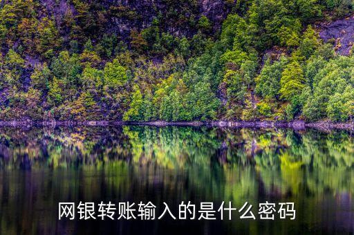 網(wǎng)銀轉(zhuǎn)賬輸入的是什么密碼