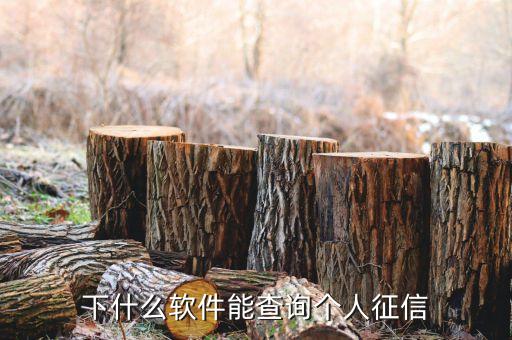 下什么軟件能查詢個人征信