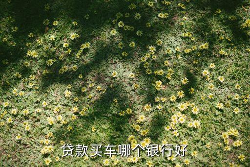 買車什么銀行貸款好，我想問下買車貸款去什么銀行好